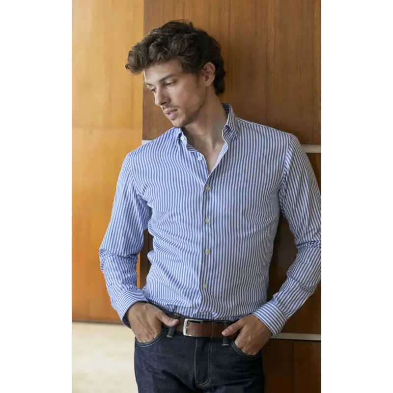 Blue poplin striped shirt